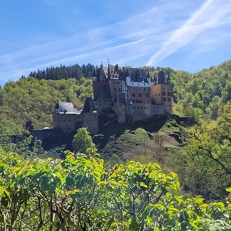 Mein Mosel-chalet, Haus Birke Ferienhaus *