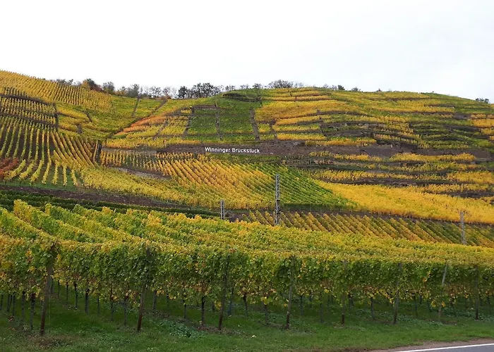 Holiday home Mein-mosel-chalet-haus-birke *